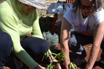 CRAS RESGATA CULTURA MILENAR DAS PLANTAS E ERVAS MEDICINAIS