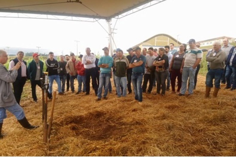 Conservação do solo e da água foi tema de Dia de Campo em Cruzaltense